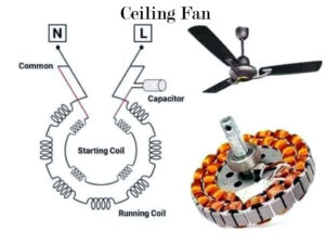 Ceiling Fan 