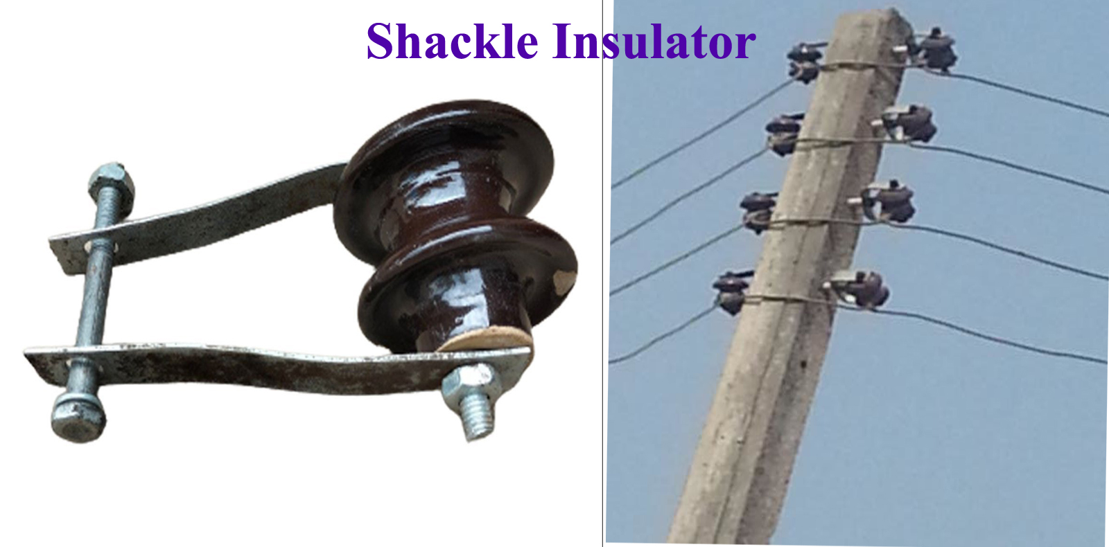 Shackle Insulators