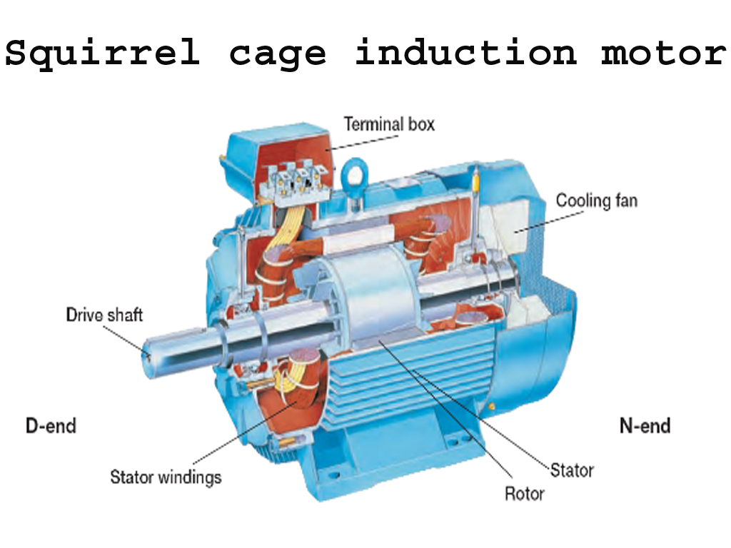 Squirrel cage induction motor