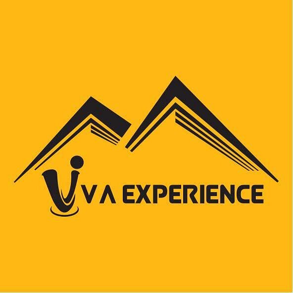 Viva Experience